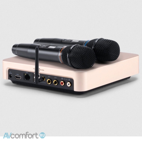 EVOLUTION Evobox Plus EvoSound Bar Gold