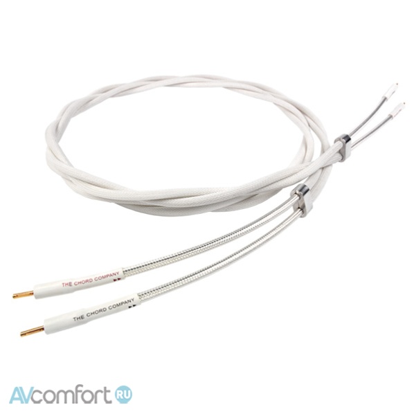 AVComfort, Chord Company Sarum Speaker 5.0 m