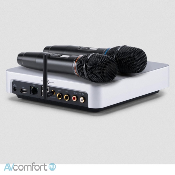 EVOLUTION Evobox Plus EvoSound Bar Silver