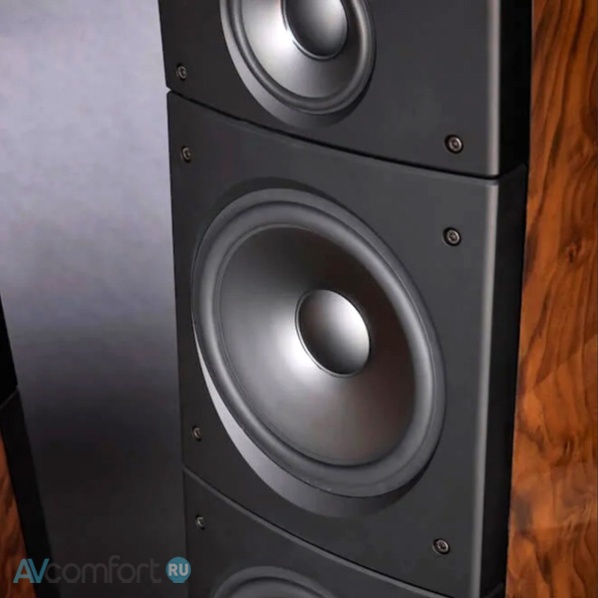 Raidho Acoustics TD3.10 Walnut Burl