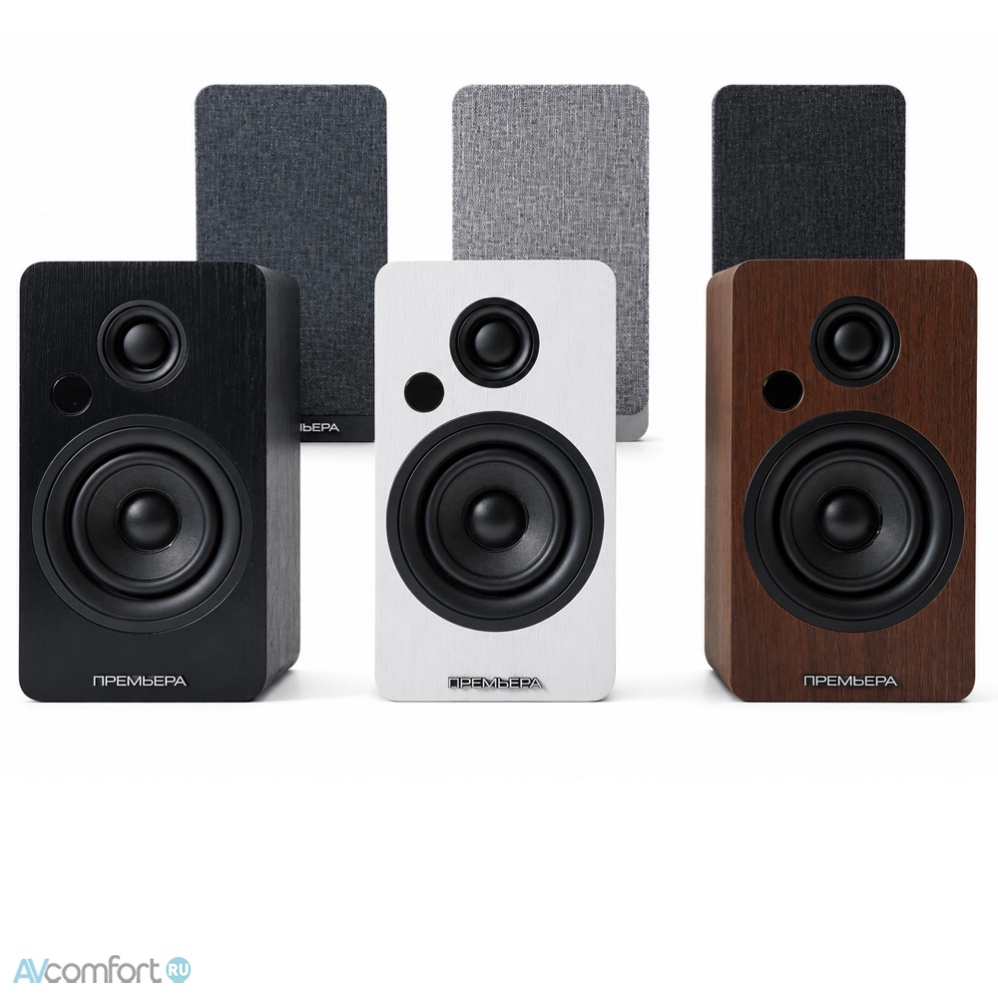 Premiera RS-301A Black