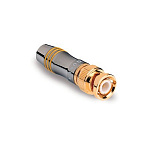 QED Reference BNC/10 (P-QEDRBNC/10)