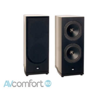 AVComfort, T+A Criterion TW 600 Bird's-Eye Maple