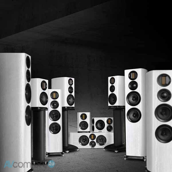 WHARFEDALE EVO 4.4 White Oak