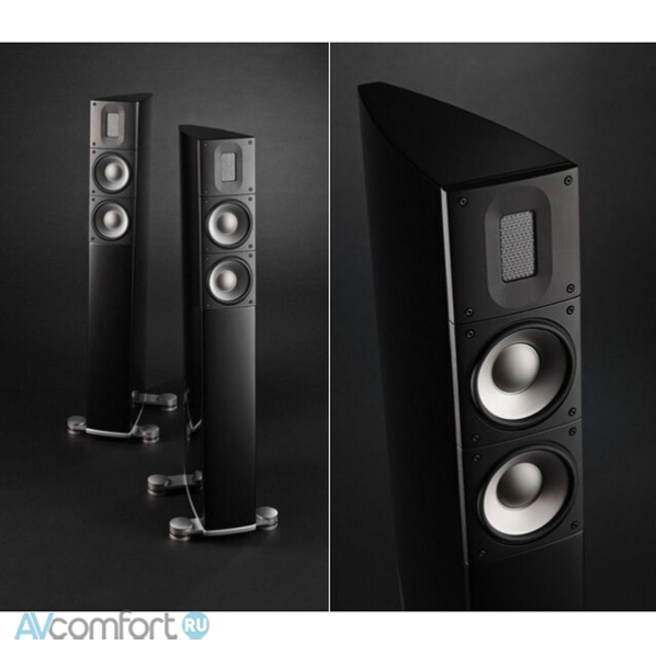 Raidho Acoustics X2T Maple Burl