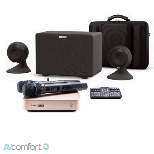 AVComfort, EVOLUTION Evobox Plus со стереосистемой Gold
