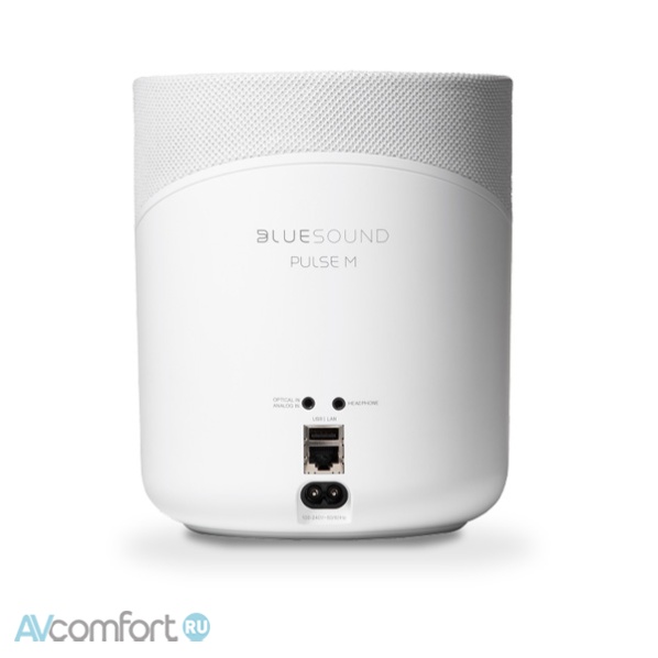 Bluesound Pulse m White