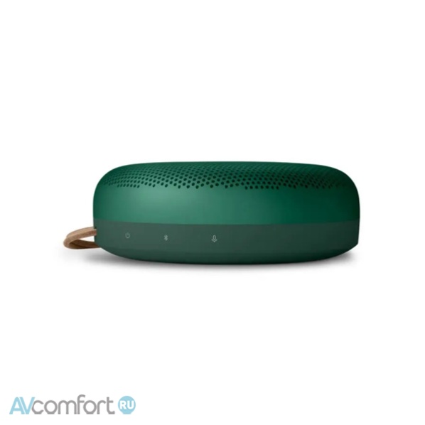 BANG & OLUFSEN Beosound A1 2nd Gen Green
