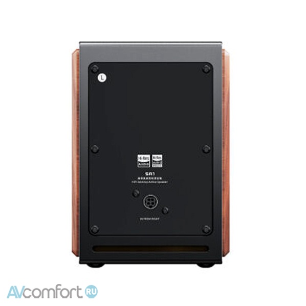 FiiO SA1 (F3053S) Twilight Black