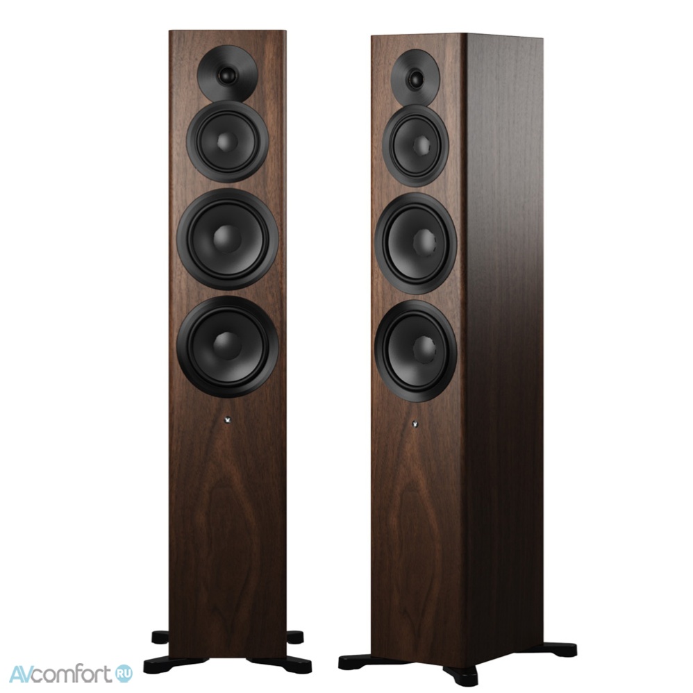 AVComfort, Dynaudio Focus 50 Walnut Wood