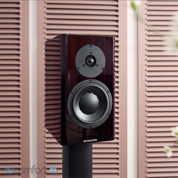 Dynaudio Special Forty Black Vine High Gloss