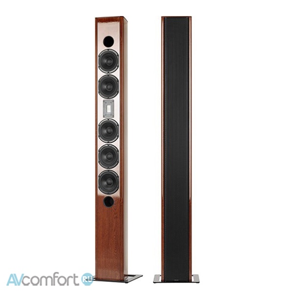 AVComfort, Piega Premium 7 Coated (Golden Oak Glanz)