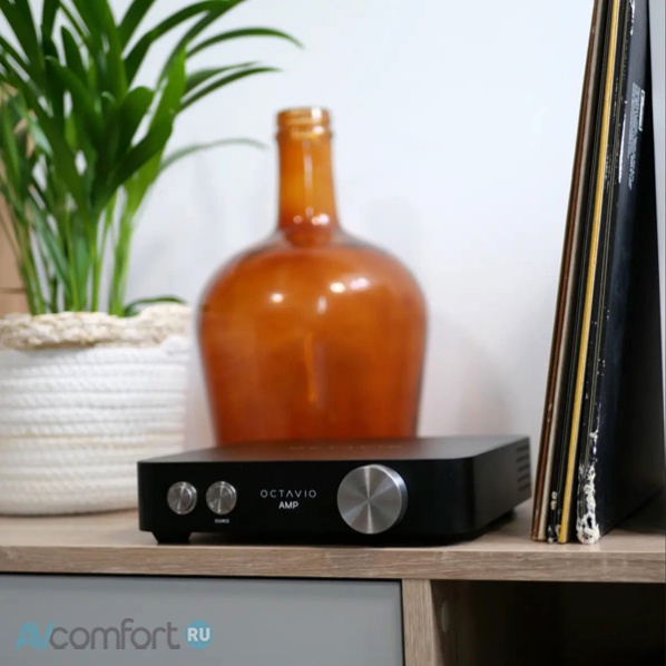 Octavio Amp 100 W