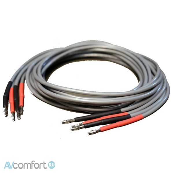 AVComfort, AUDIO NOTE AN-Isis LX 168 2,5 m