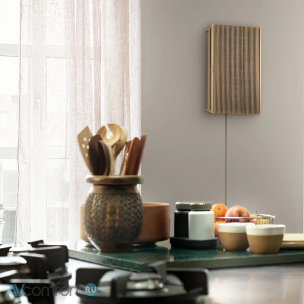 Bang & Olufsen Beosound Level Gold Tone