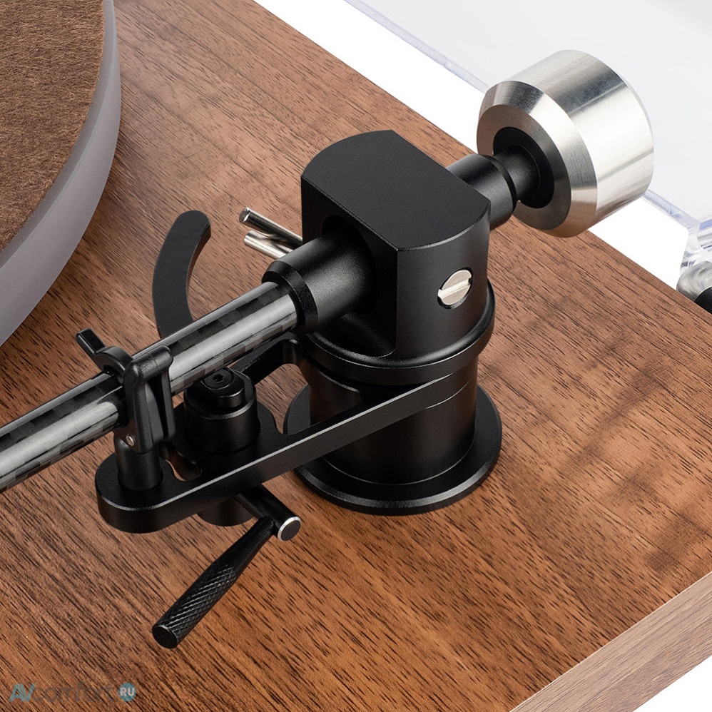 Phaze Audio Celine Walnut
