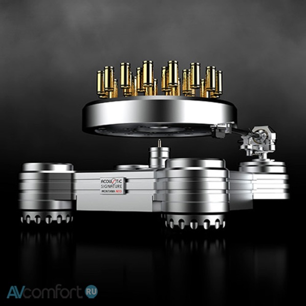 Acoustic Signature Montana Neo Silver