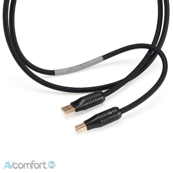 Shunyata Research Theta USB 1,5 m Shunyata Research Theta USB 1,5 m