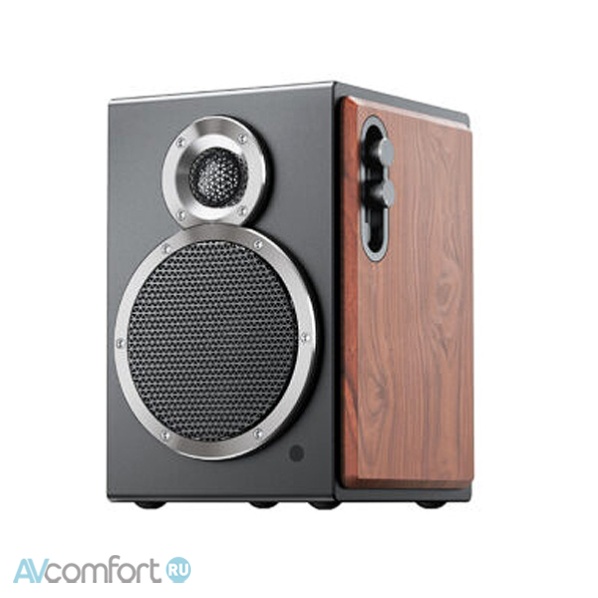 FiiO SA1 (F3053S) Twilight Black