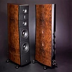 Raidho Acoustics TD3.10 Black