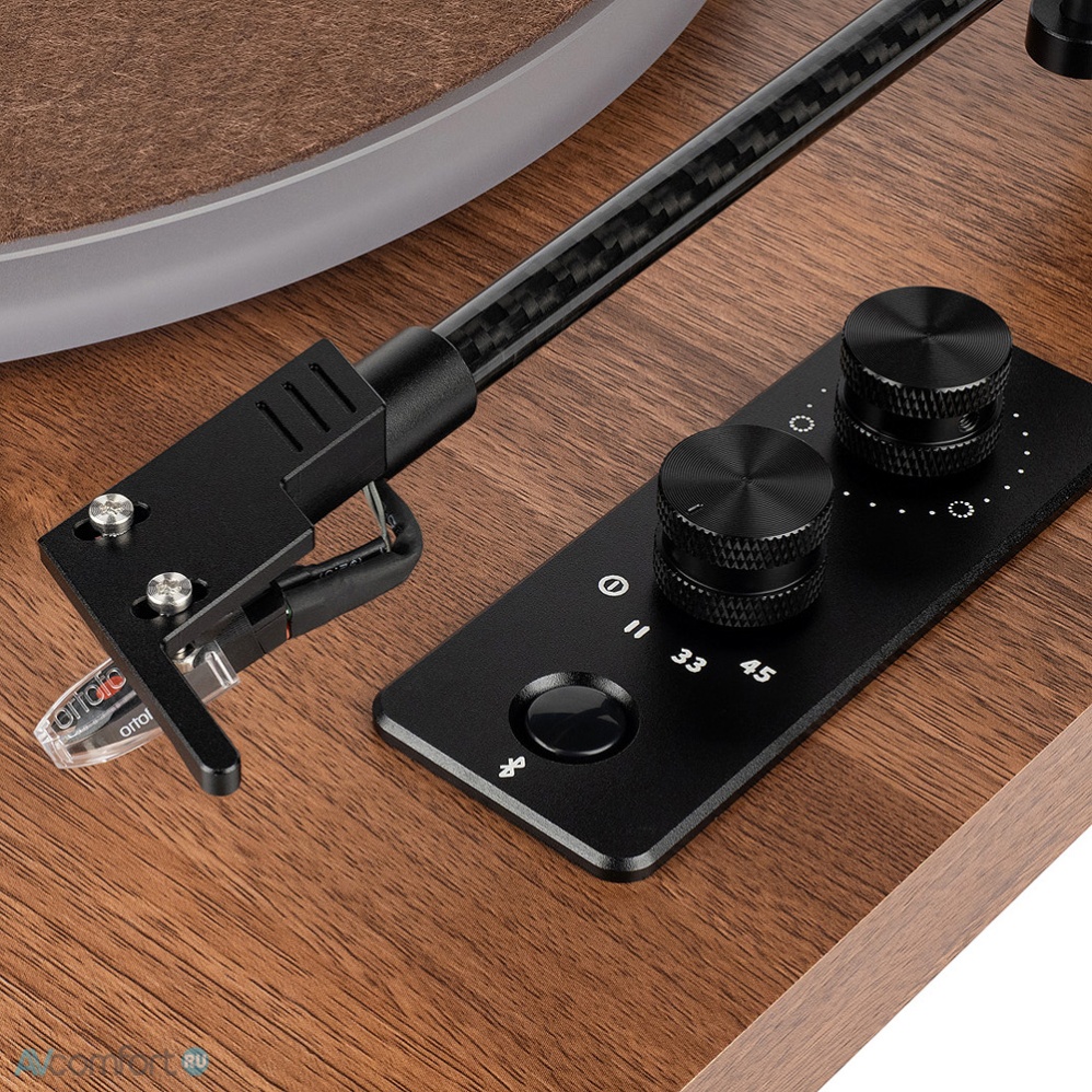 Phaze Audio Celine Walnut