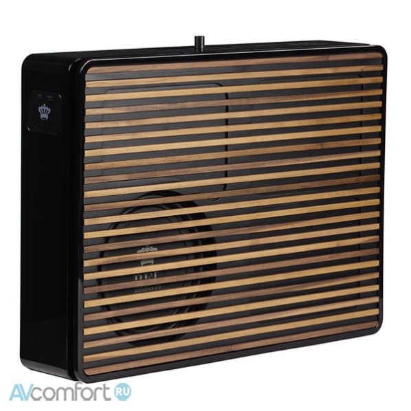 REL Acoustics Planar PL-2 Black