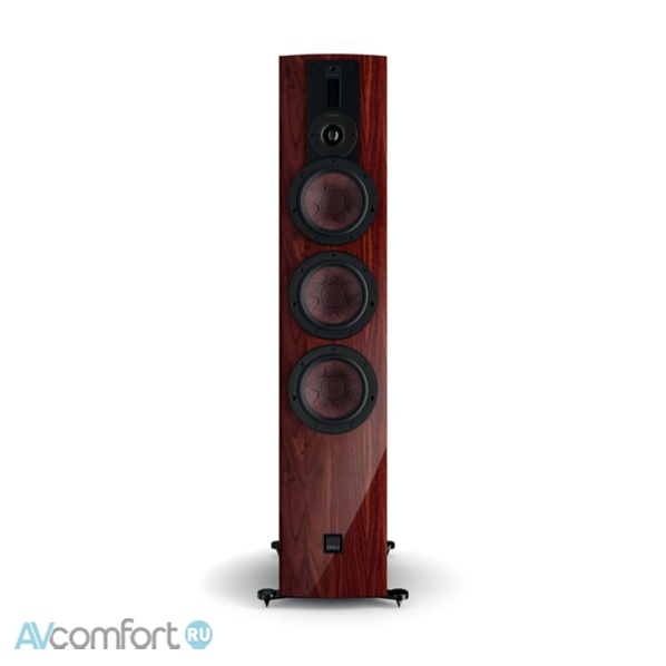 DALI Rubikore 8 Maroon High Gloss