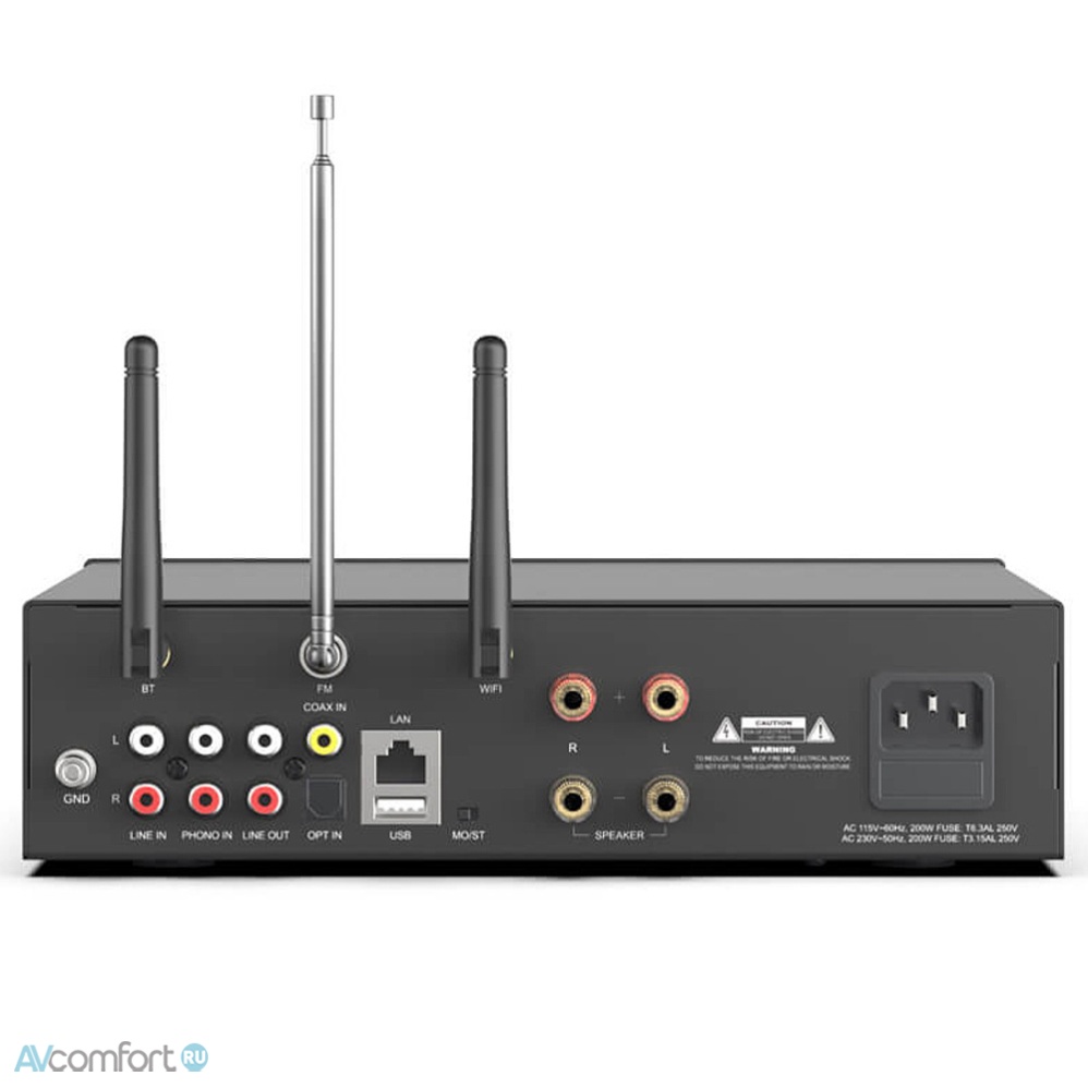 Arylic A100
