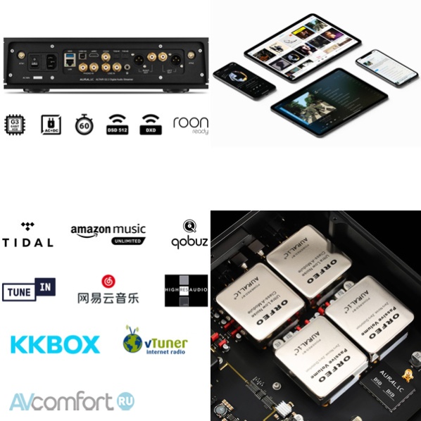 AURALiC Altair G2.2 Black