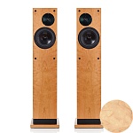 ProAc Response D30DS Light Oak