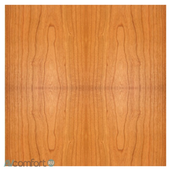 ATC SCM100ASL Cherry ATC SCM100ASL Cherry