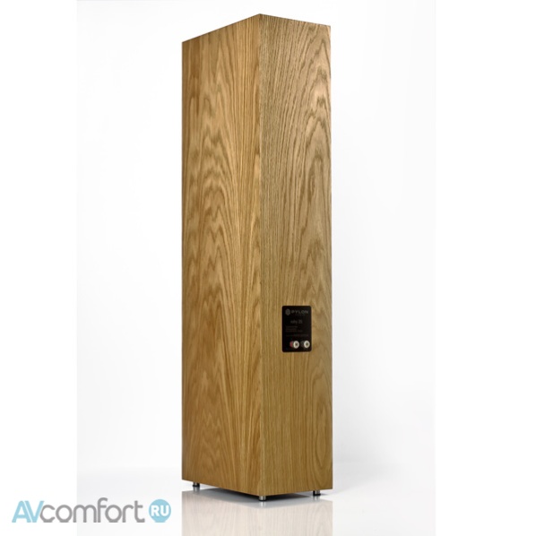 Pylon Audio Ruby 25 Mk II Dark Oak