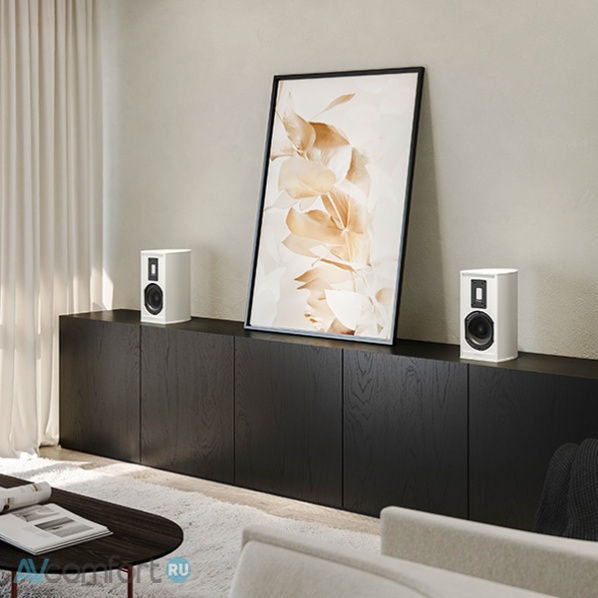 Piega Premium 301 Wireless Gen 2 W