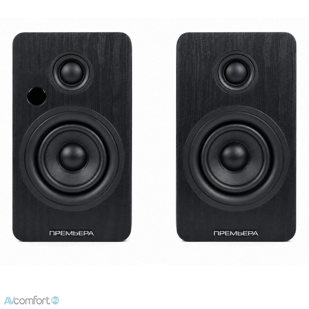 Premiera RS-301A Black