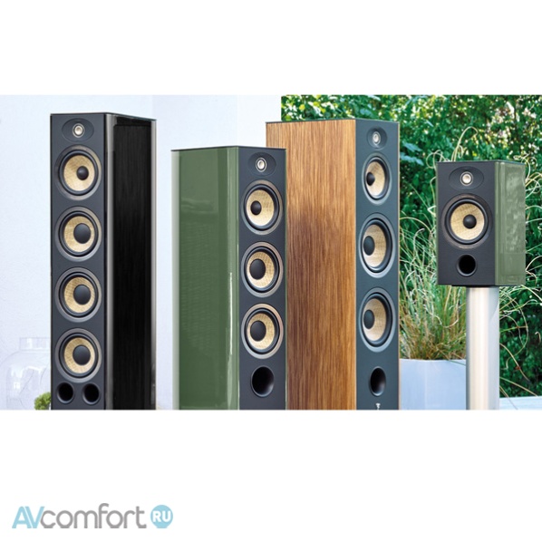 Focal Aria Evo X N2 Prime Walnut