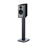 Paradigm Persona B Vanta High Gloss Black