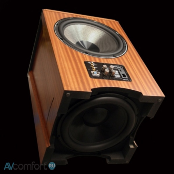 Legacy Audio XtremeXD BE Maple Legacy Audio XtremeXD BE Maple