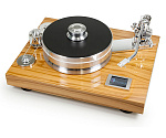 PRO-JECT Signature 12 Olive